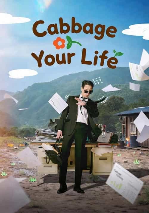 پوستر Cabbage Your Life