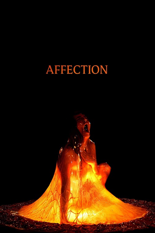 پوستر Affection