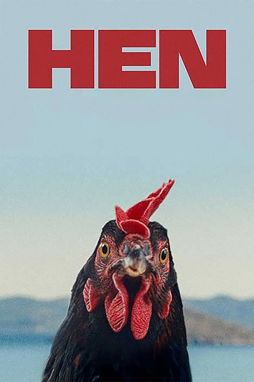 پوستر Hen