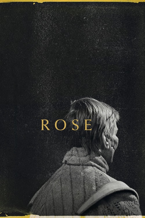 پوستر Rose