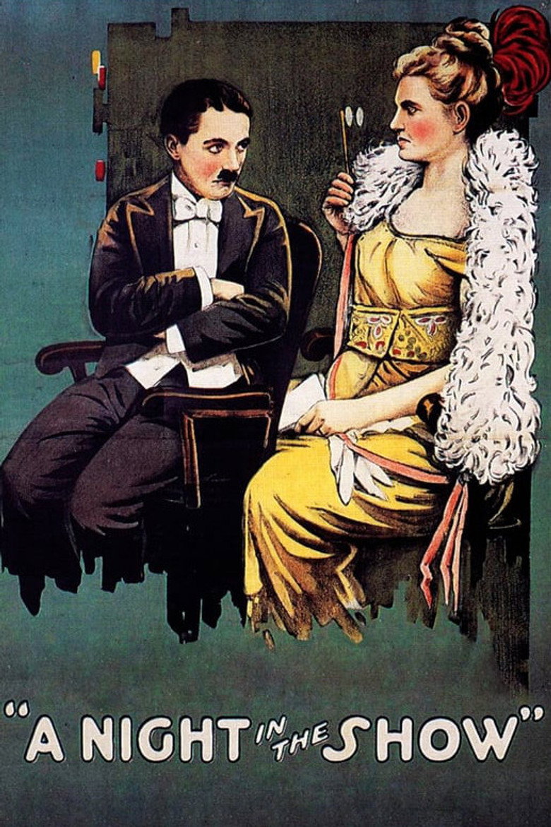 پوستر شبی در نمایش