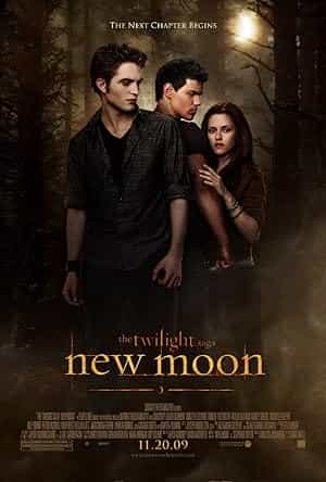 پوستر The Twilight 2