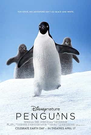 پوستر Penguins