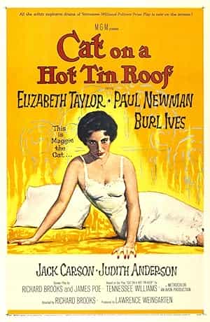 پوستر Cat on a Hot Tin Roof