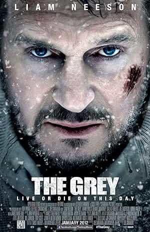 پوستر The Grey