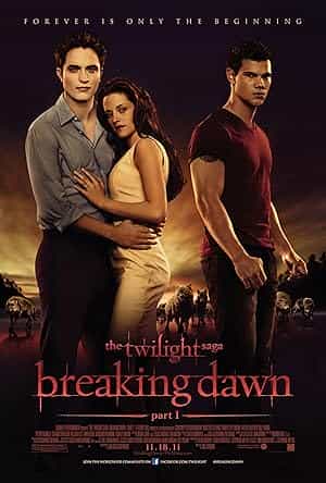 پوستر The Twilight 4