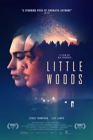 پوستر Little Woods