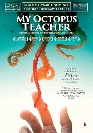 پوستر My Octopus Teacher