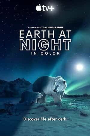 پوستر Earth at Night in Color
